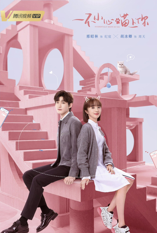 Poster 2 de Série Accidentally Meow On You (2022)