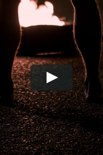  de Filme Neandertais (2016)