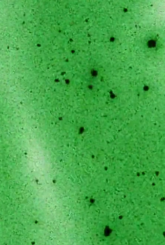 Poster 1 de Curta Intrigues (IV) (1981)