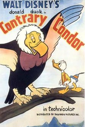 Poster de Curta Contrary Condor (1944)