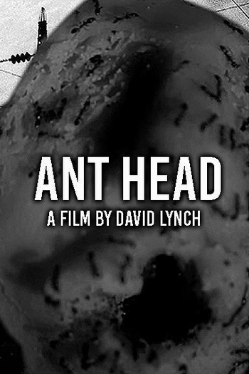 Poster de Curta Ant Head (2018)