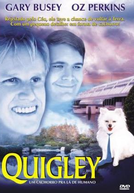 Quigley - Um Cachorro Pra Lá de Humano