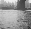 Under the Brooklyn Bridge
