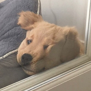 Foto de perfil de nath