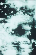 Memory Worked By Mirrors (Memory Worked By Mirrors)