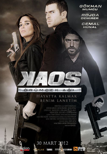 Kaos örümcek agi (Kaos örümcek agi)