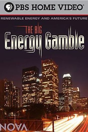 Poster de Filme The Big Energy Gamble (2009)