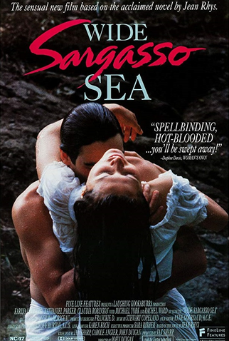 Poster 1 de Filme Vasto Mar de Sargaços (1993)