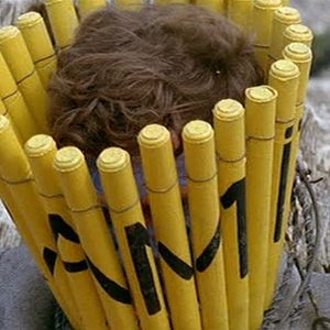 Foto de perfil de Tarcísio Azevedo