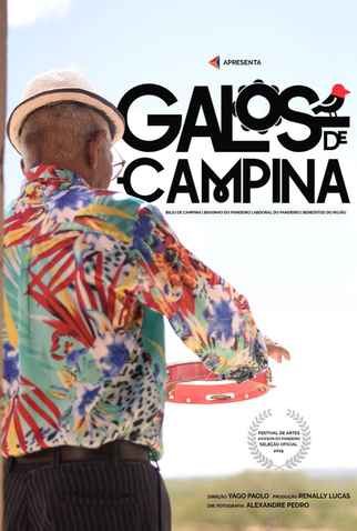 Poster 1 de Curta Galos-de-Campina (2019)