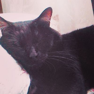 Foto de perfil de aibtz