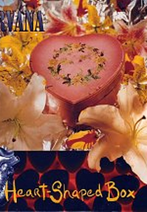 Nirvana: Heart-Shaped Box (Nirvana: Heart-Shaped Box)
