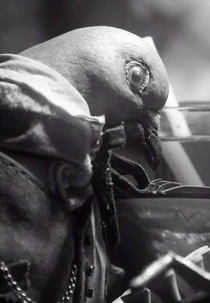 We Drink Too Much (Naked Island: We Drink Too Much)