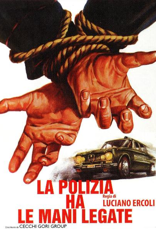 Poster 1 de Filme Portrait of a 60% Perfect Man (1975)