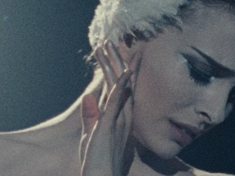 Foto 2 de Cisne Negro