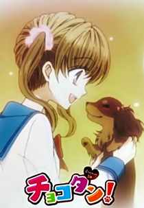 Chokotan! (チョコタン!)