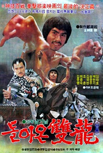 Leopard Fist Ninja - Poster / Capa / Cartaz - Oficial 1