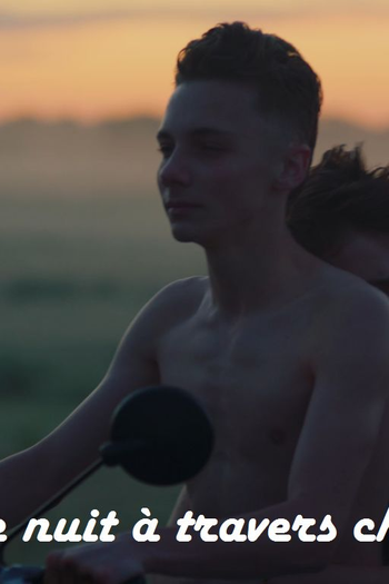 Poster de Filme Une nuit, a travers champs (2019)