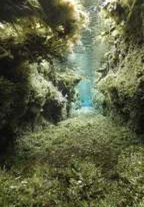 A Correnteza X (The Stream X)