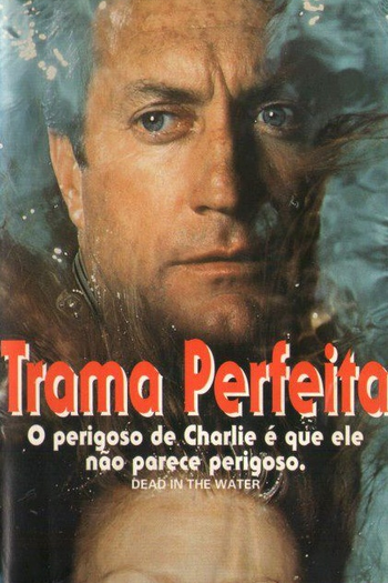  de Filme Trama Perfeita (1991)