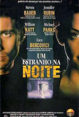Poster 2 de Filme Um Estranho na Noite (1994)