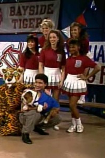 Poster de Episódio Save That Tiger (1989)