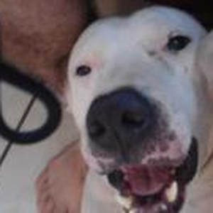 Foto de perfil de Axel