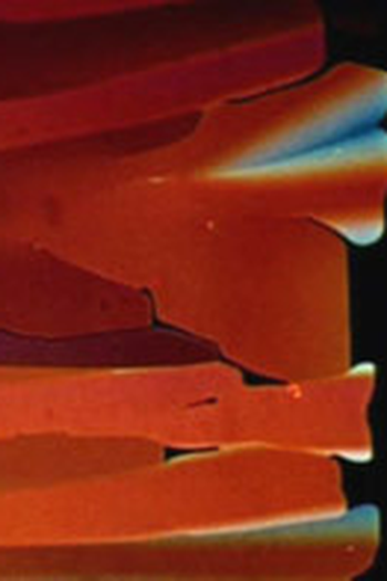 Poster de Curta Mutations (1972)