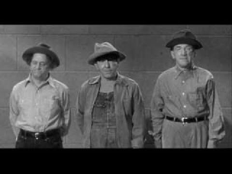 Foto 1 de Disfarçados atordoados