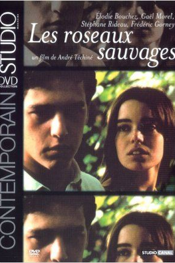  de Filme Rosas Selvagens (1994)