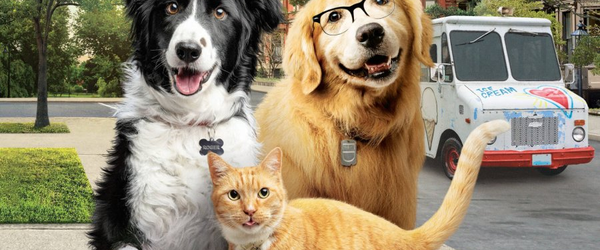 'Como Cães e Gatos 3' ganha trailer; Assista!