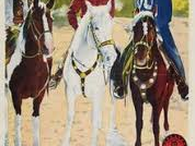 Foto 5 de Ouro Fatal