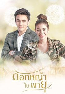 Grass Flower in the Storm (Dok Yah Nai Payu)