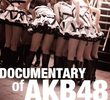 Documentary of AKB48: Show Must Go On