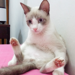 Foto de perfil de Hellena