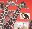Zoo-opolis!
