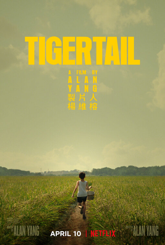 Poster 2 de Filme Tigertail (2020)