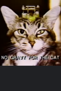 No Gravy for the Cat - Poster / Capa / Cartaz - Oficial 1
