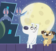 Dog Loves Night