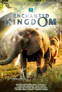 Enchanted Kingdom - Poster / Capa / Cartaz - Oficial 2