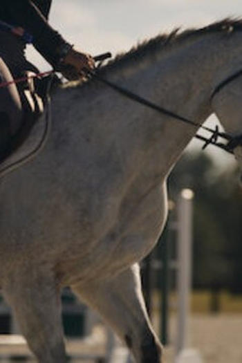 Poster de Episódio Horse Hitman (2021)
