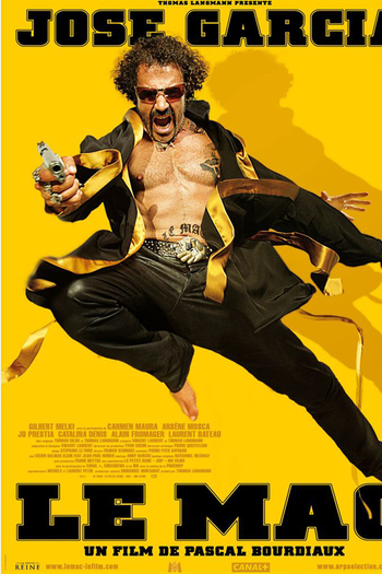 Poster de Filme Aprendiz de Gigolô (2010)