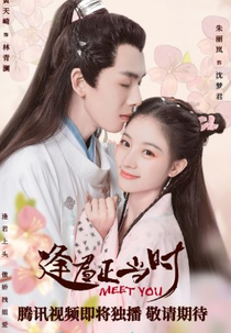 Meet You (逢君正当时)