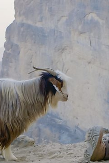 Poster de Episódio Oman: Desert Canyon (2019)