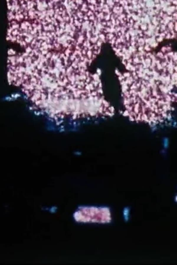 Poster de Filme Lapse (1981)