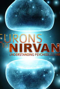 Neurônios ao Nirvana - Poster / Capa / Cartaz - Oficial 1