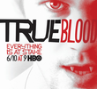 True Blood (5ª Temporada)