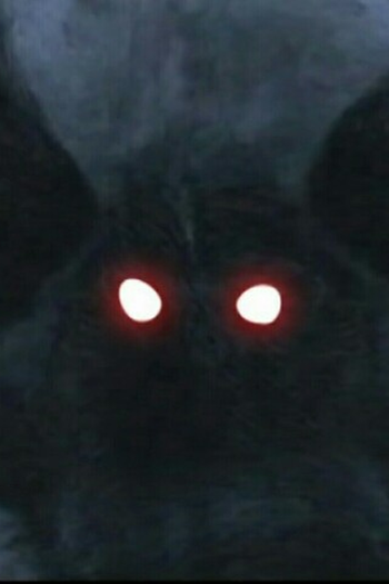 Poster de Episódio Mothman (2009)