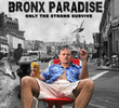 Bronx Paradise