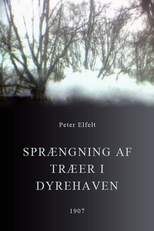 Spraengning af Traeer i Dyrehaven (Sprængning af Træer i Dyrehaven)